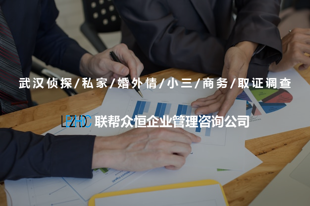 武汉调查公司
