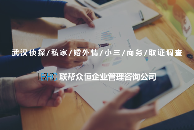 武汉调查公司