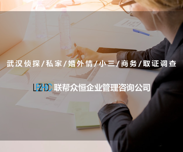 武汉调查公司