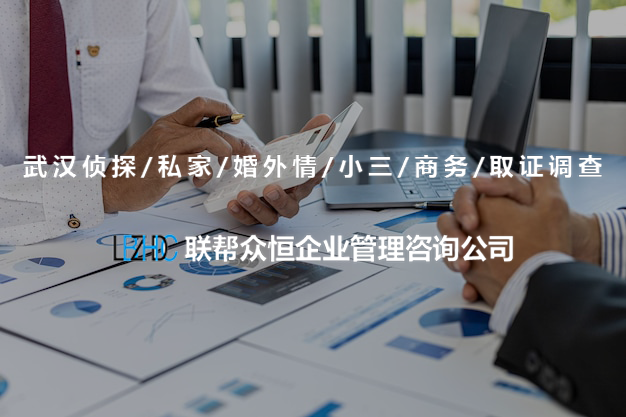 武汉调查公司