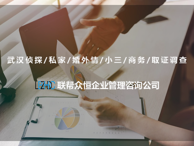 武汉调查公司