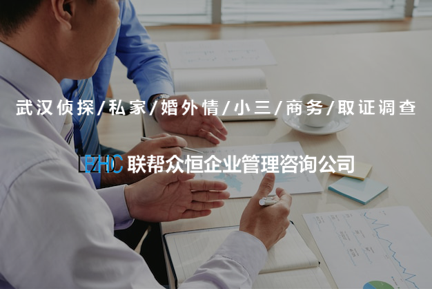 武汉调查公司