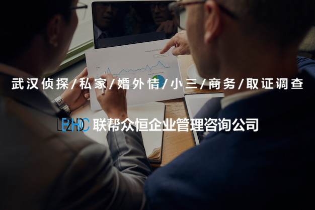 武汉调查公司
