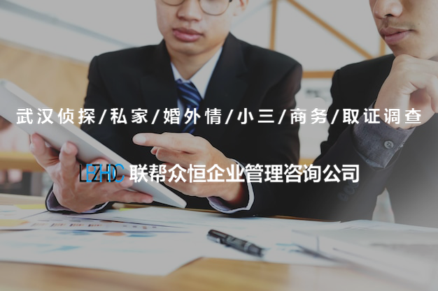 武汉调查公司