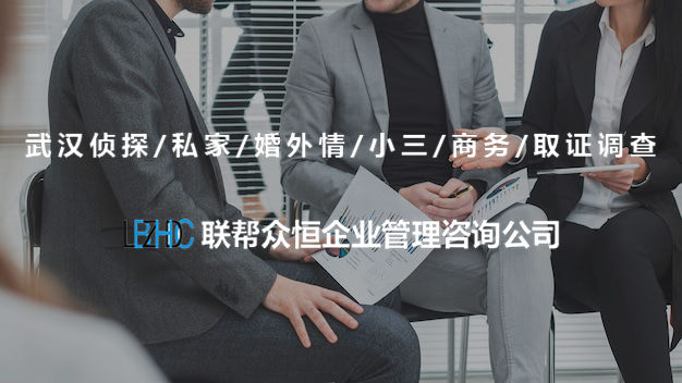 武汉调查公司