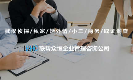 武汉商务调查主要服务哪些企业需求？ 